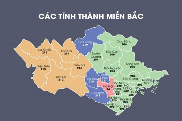 Nhà phân phối chính hãng, uy tín Foam Apollo tại miền Bắc